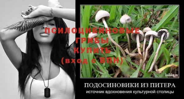 амф Аркадак