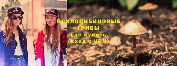бошки Арсеньев