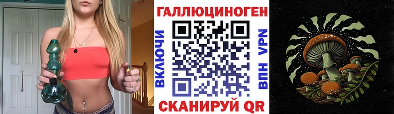 дарнет шоп  площадка какой сайт  Псилоцибиновые грибы мухоморы  Салаир 